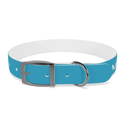 Dog Collar - My Dad Sells Houses - Turquoise