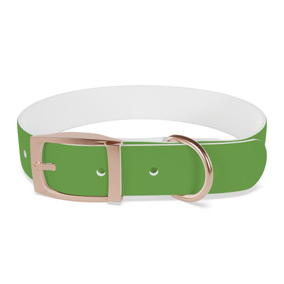 Dog Collar - My Dad Sells Houses - Green