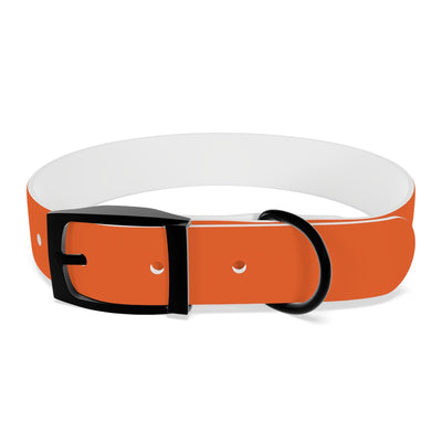 Dog Collar - My Dad Sells Houses - Orange