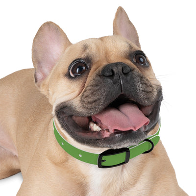 Dog Collar - My Mom Sells Houses - Green