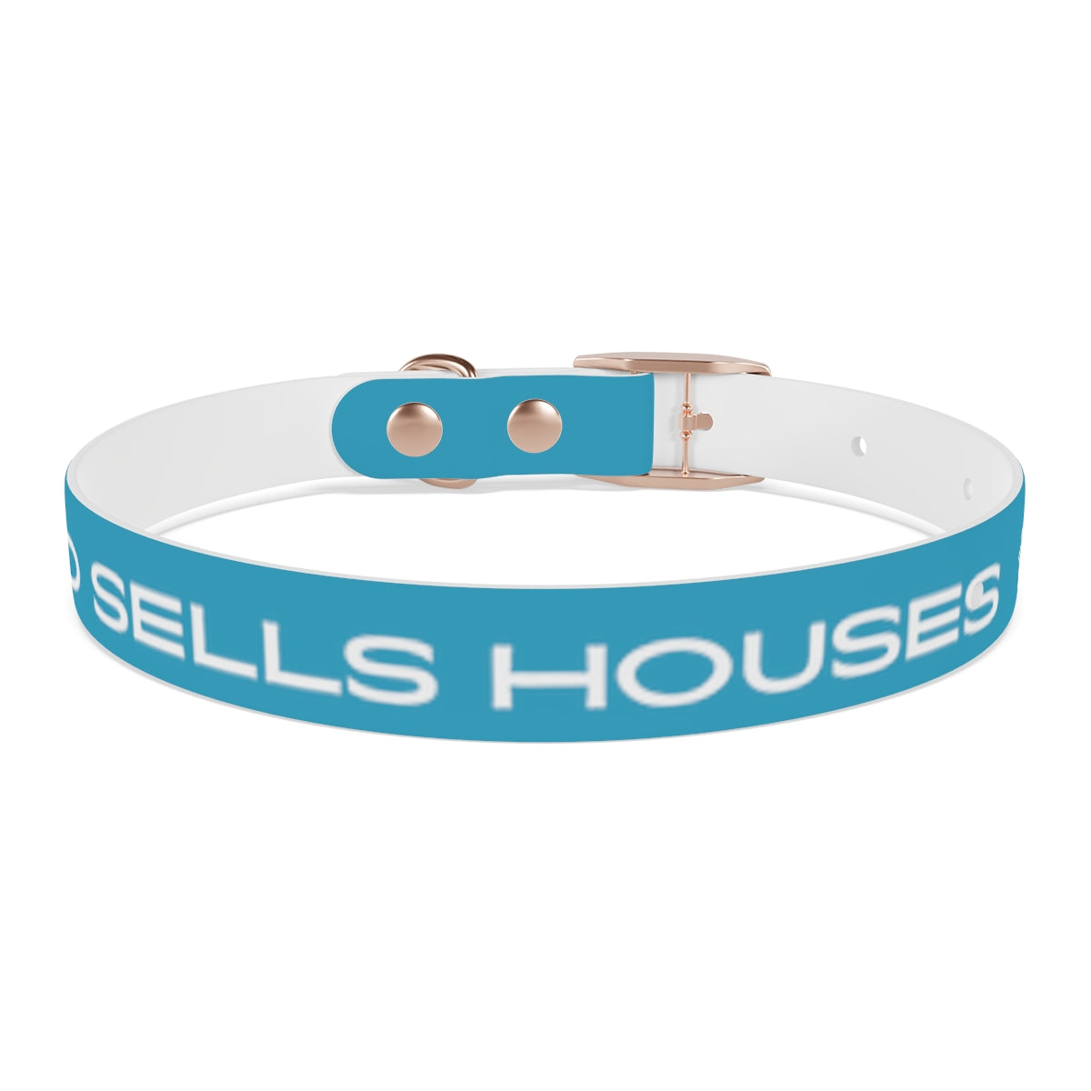 Dog Collar - My Dad Sells Houses - Turquoise