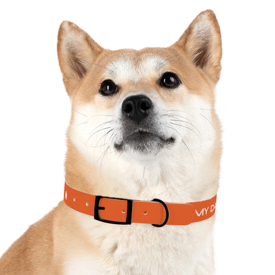 Dog Collar - My Dad Sells Houses - Orange