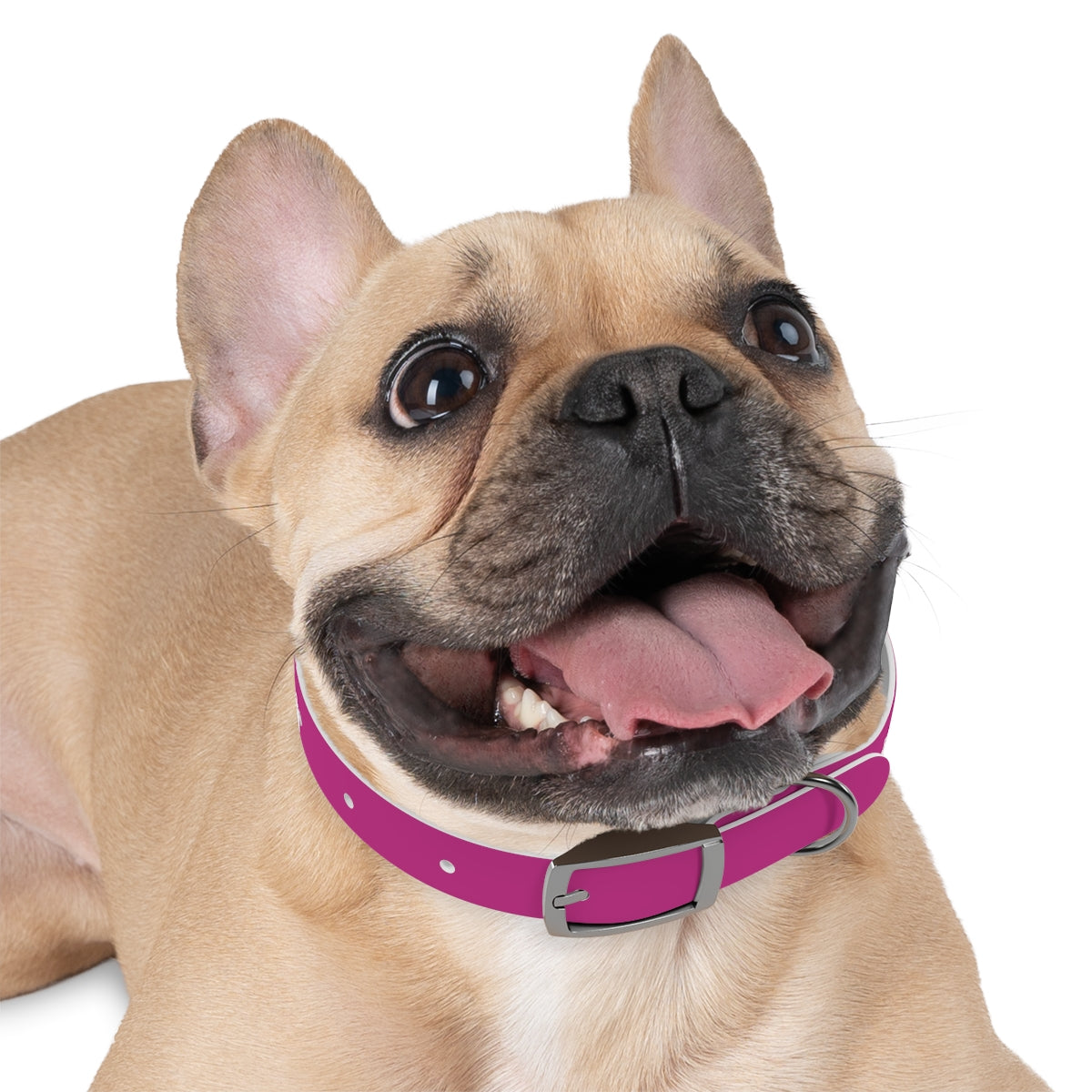 Dog Collar - My Mom Sells Houses - Pink