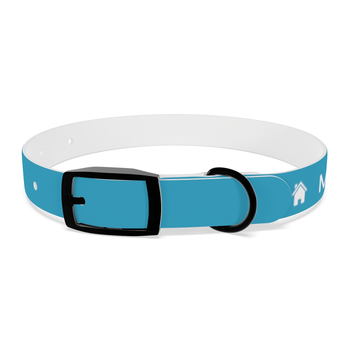 Dog Collar - My Dad Sells Houses - Turquoise