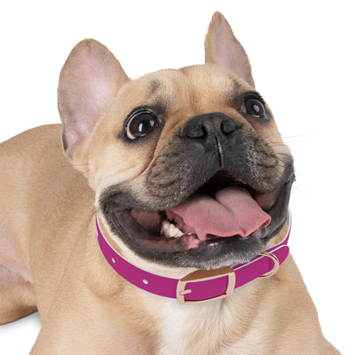 Dog Collar - My Dad Sells Houses - Pink