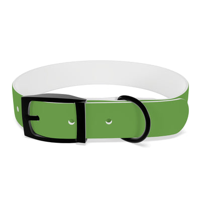 Dog Collar - My Dad Sells Houses - Green