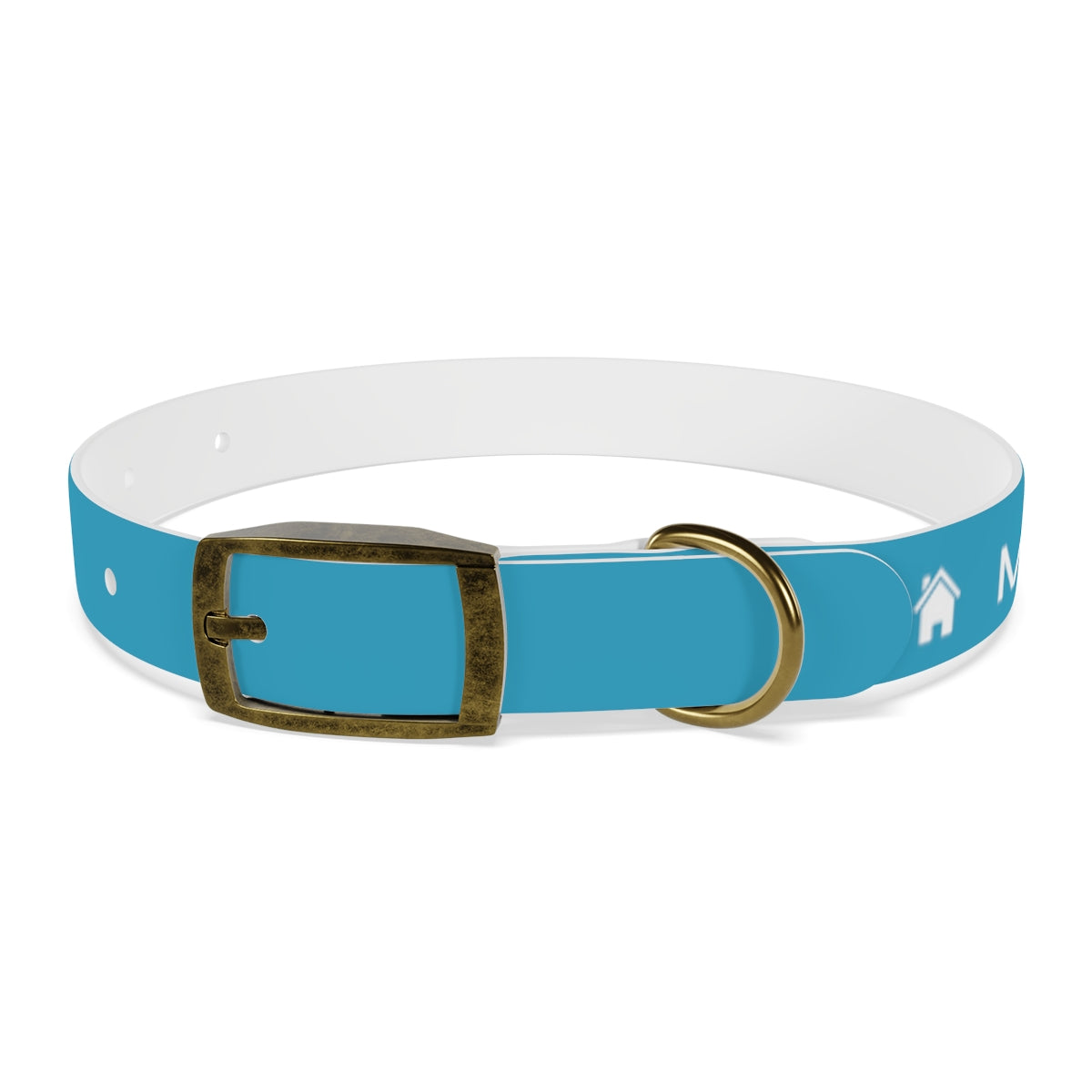 Dog Collar - My Dad Sells Houses - Turquoise
