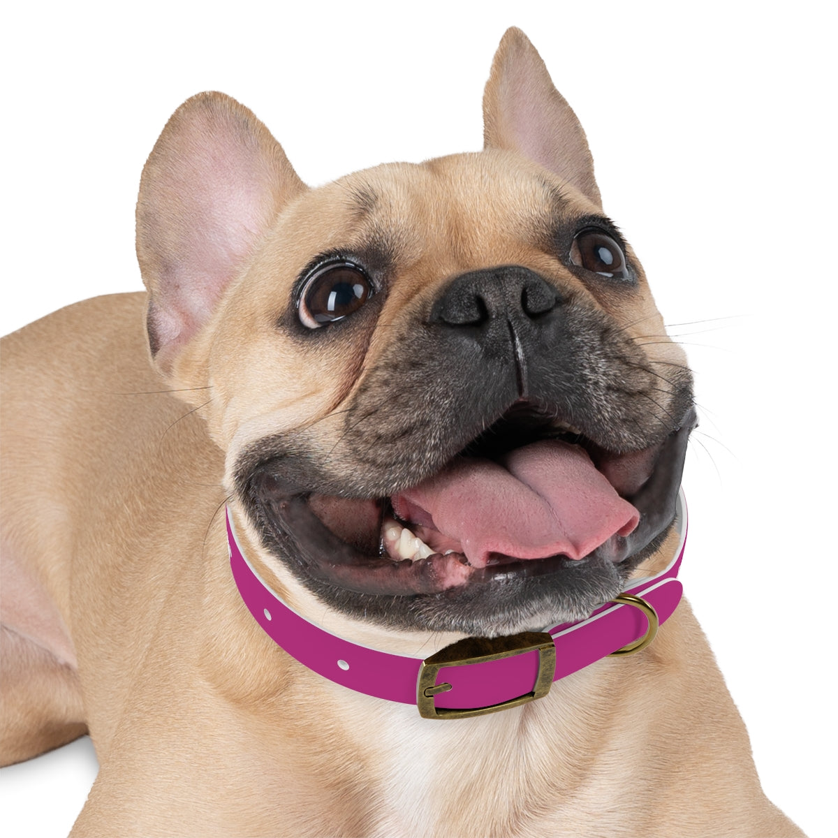 Dog Collar - My Mom Sells Houses - Pink