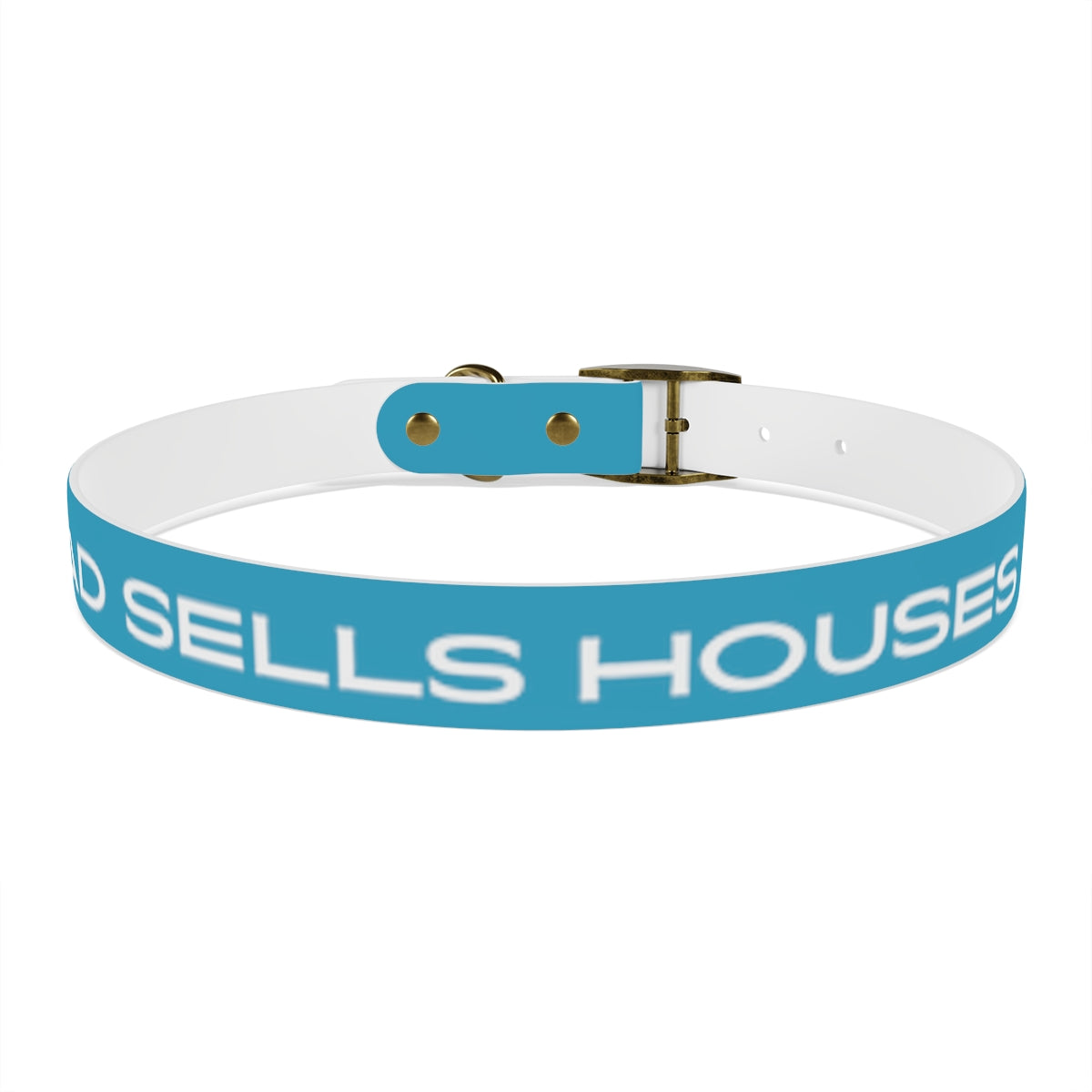 Dog Collar - My Dad Sells Houses - Turquoise