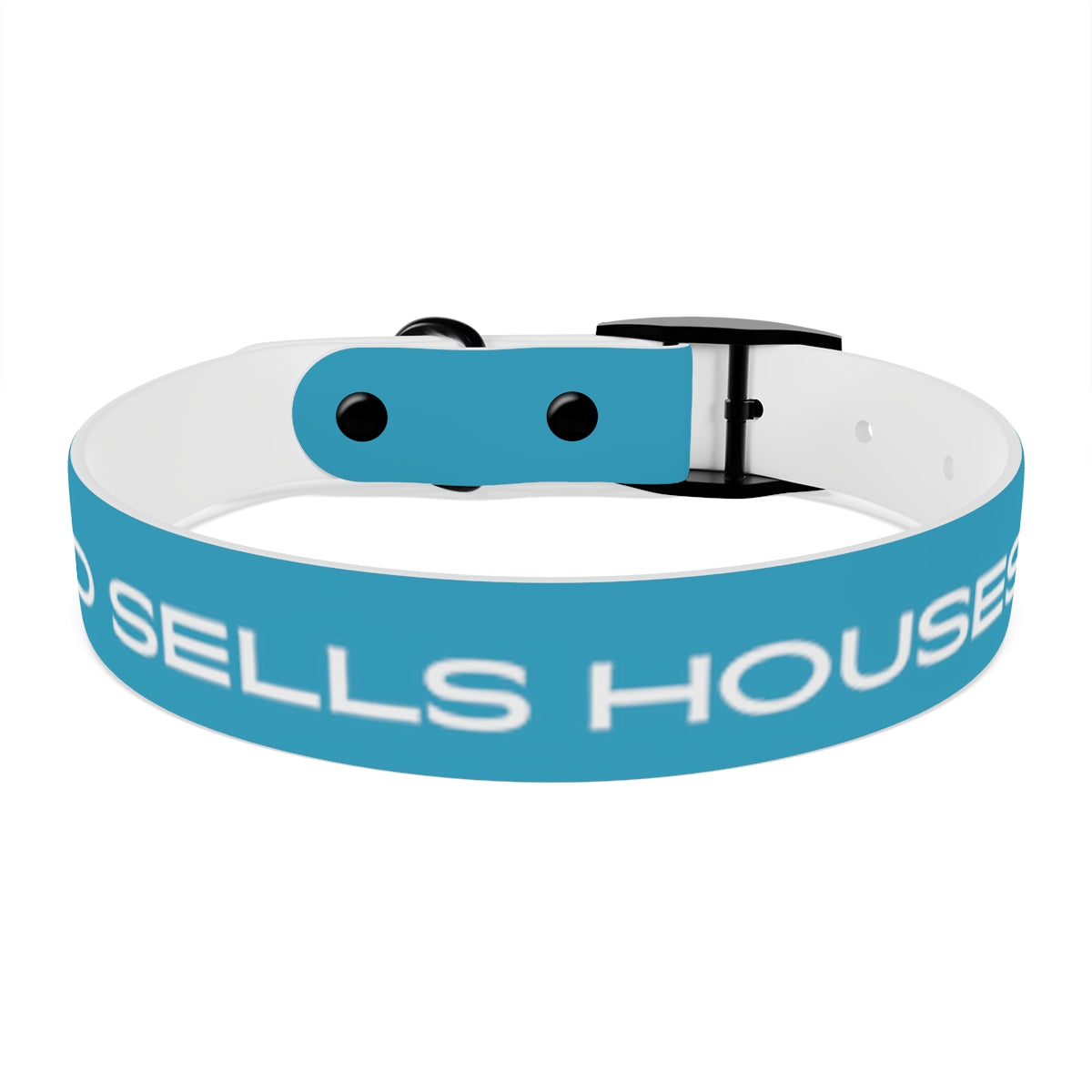 Dog Collar - My Dad Sells Houses - Turquoise