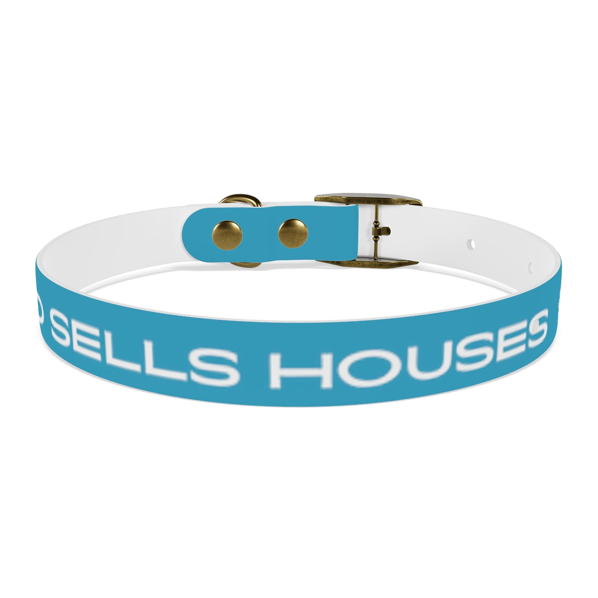 Dog Collar - My Dad Sells Houses - Turquoise