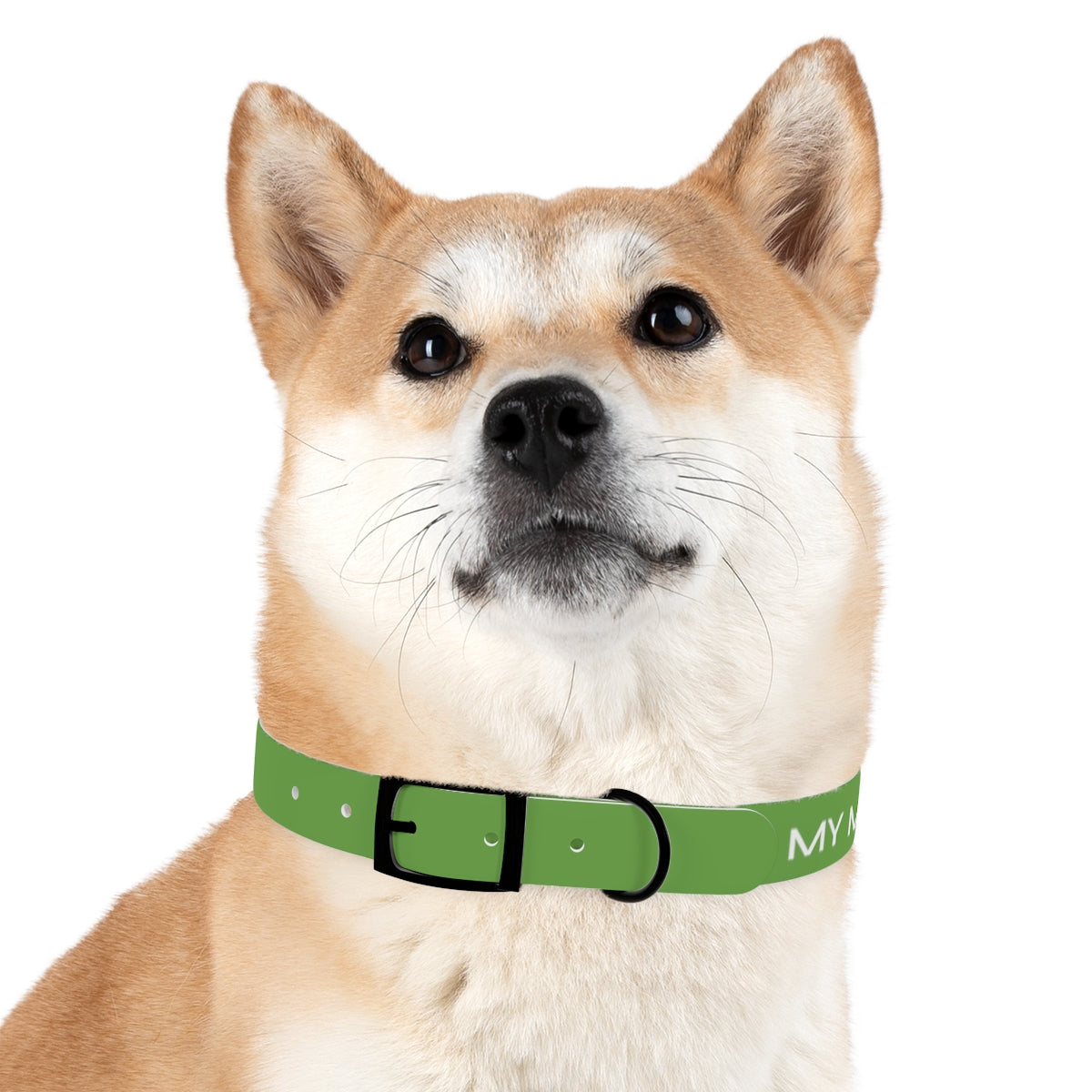 Dog Collar - My Mom Sells Houses - Green