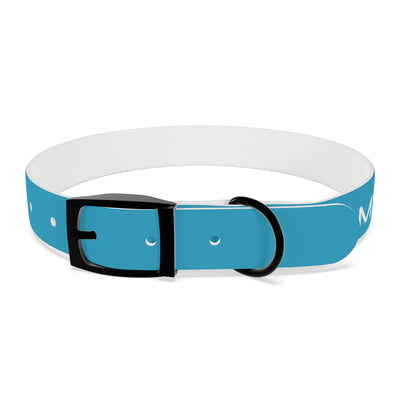 Dog Collar - My Dad Sells Houses - Turquoise