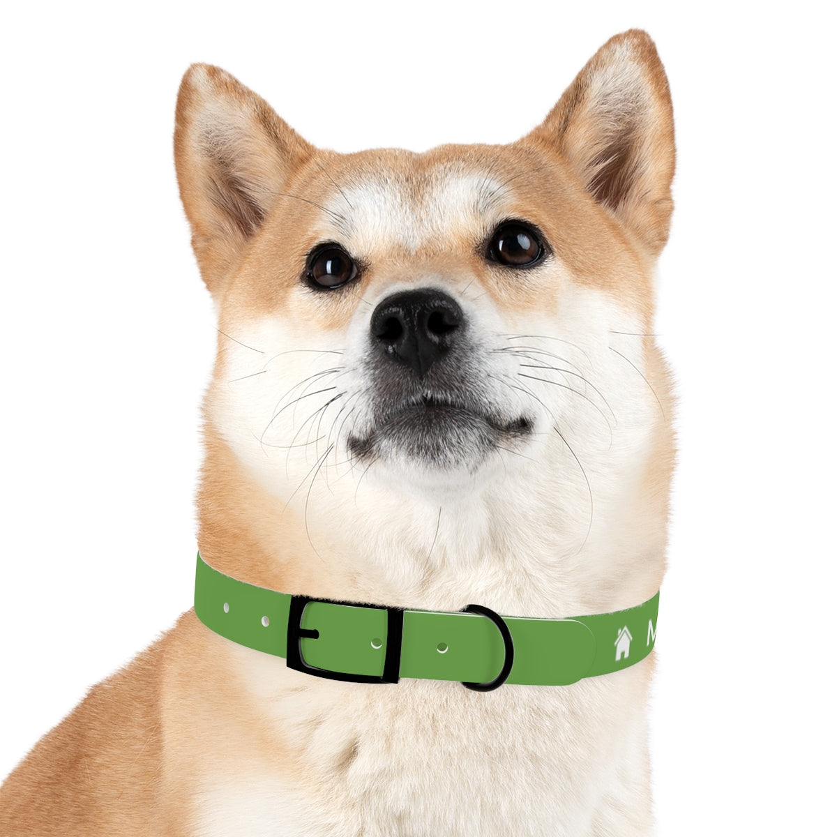 Dog Collar - My Dad Sells Houses - Green