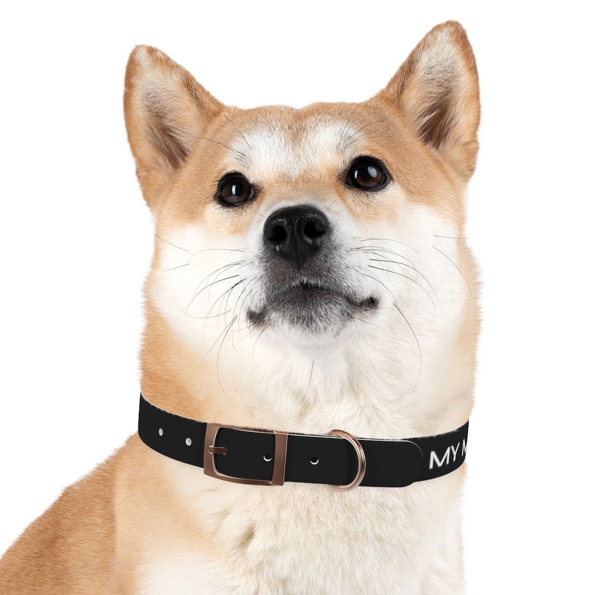 Dog Collar - My Mom Sells Houses - Black