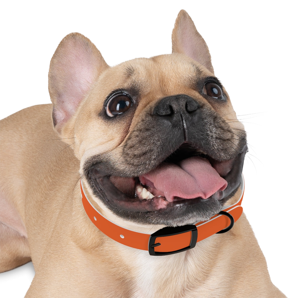 Dog Collar - My Mom Sells Houses - Orange