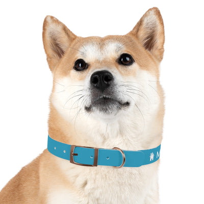 Dog Collar - My Mom Sells Houses - Turquoise