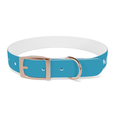 Dog Collar - My Dad Sells Houses - Turquoise