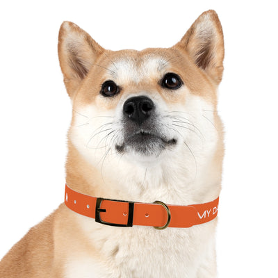 Dog Collar - My Dad Sells Houses - Orange