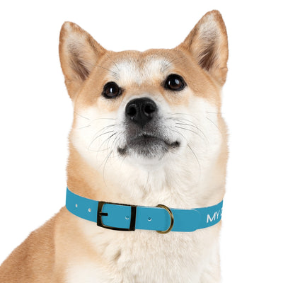 Dog Collar - My Dad Sells Houses - Turquoise