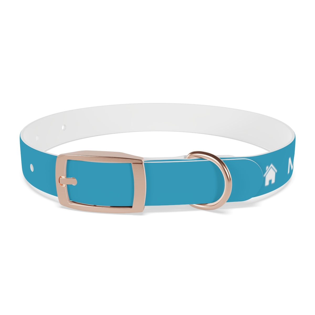 Dog Collar - My Dad Sells Houses - Turquoise
