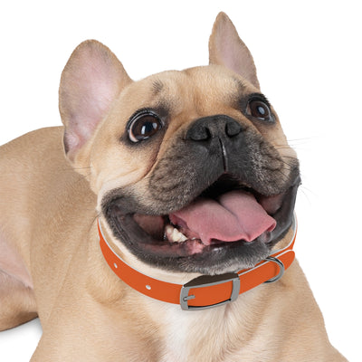 Dog Collar - My Dad Sells Houses - Orange