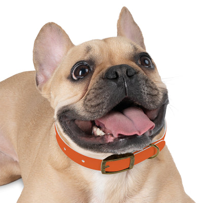 Dog Collar - My Mom Sells Houses - Orange