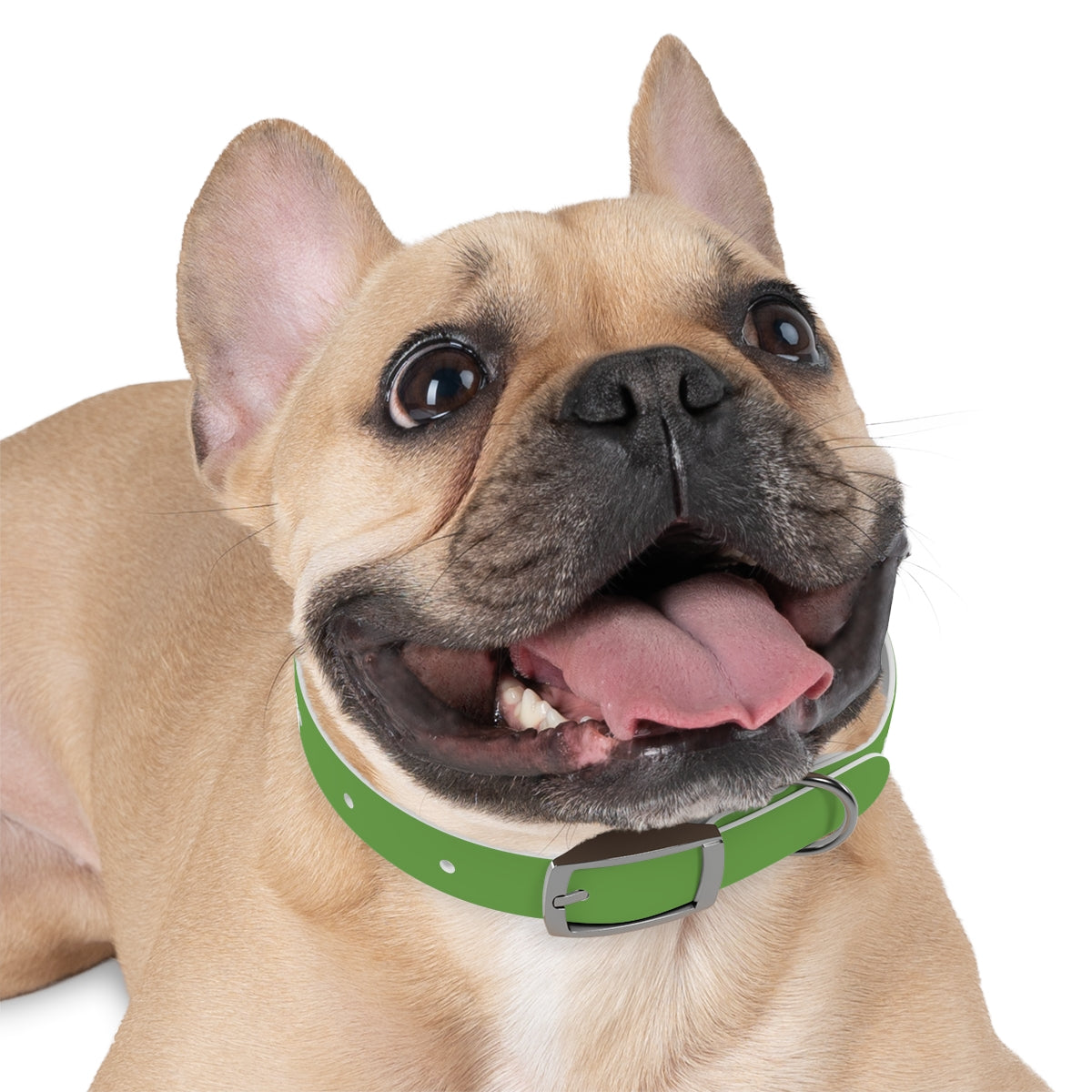 Dog Collar - My Mom Sells Houses - Green