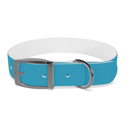 Dog Collar - My Mom Sells Houses - Turquoise