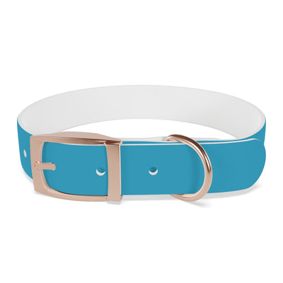 Dog Collar - My Dad Sells Houses - Turquoise