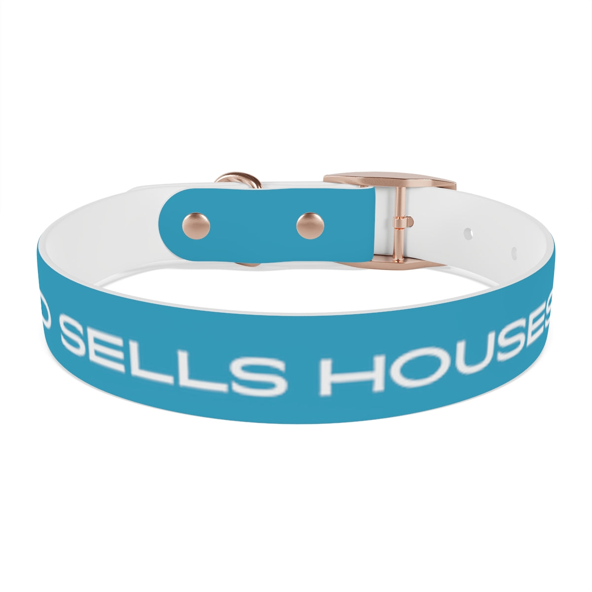 Dog Collar - My Dad Sells Houses - Turquoise