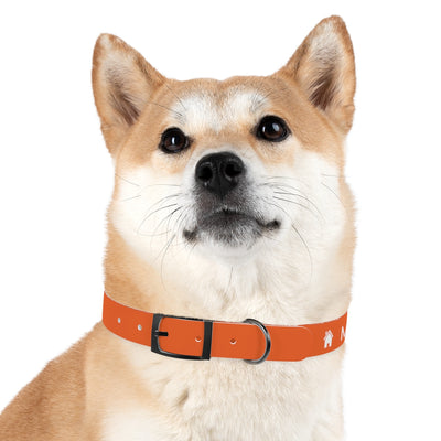 Dog Collar - My Dad Sells Houses - Orange